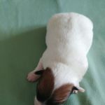 20180908 125012