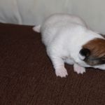 IMG 0150