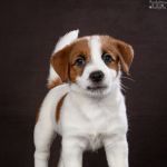 DSC 5762