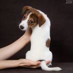 DSC 5723