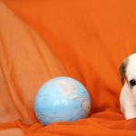 IMG 8889