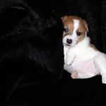IMG 0227