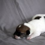 IMG 4631