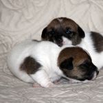 IMG 4720
