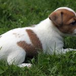 IMG 4957