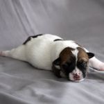 IMG 4578