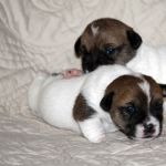 IMG 4721
