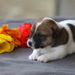 IMG 4841