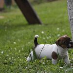 IMG 4972