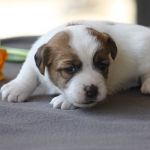 IMG 4794