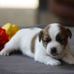 IMG 4796