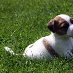 IMG 4925