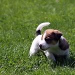 IMG 4949