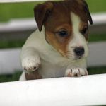 IMG 4989