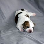 IMG 4589