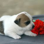 IMG 4813