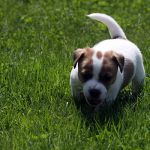 IMG 4939