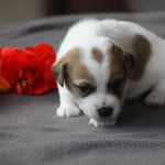 IMG 4875