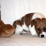 IMG 6926