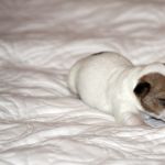 IMG 6349