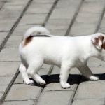 IMG 9073