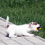 IMG 9098