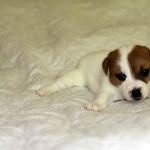 IMG 8849