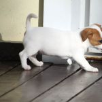 IMG 9402