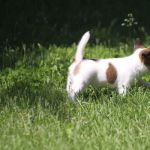 IMG 9172