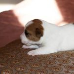 IMG 8794
