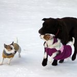IMG 5477
